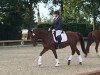 dressage horse Dacato JB (Westphalian, 2014, from Depeche Mode)