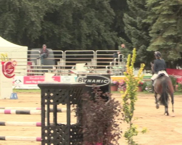 Waltroper Reitertage 2016