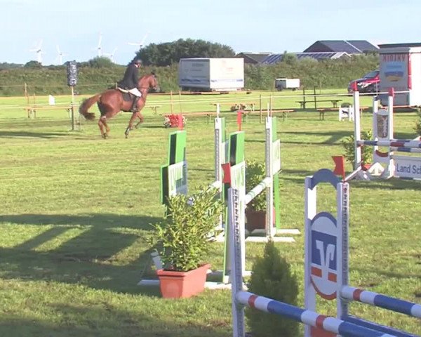 Reitturnier Behrendorf 2016