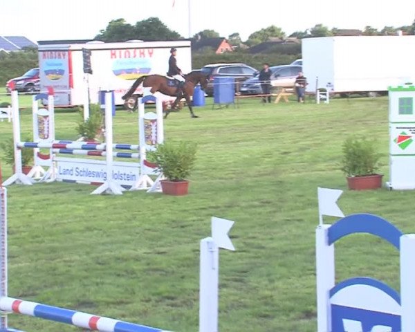 Reitturnier Behrendorf 2016