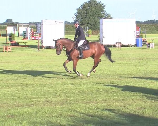 Reitturnier Behrendorf 2016