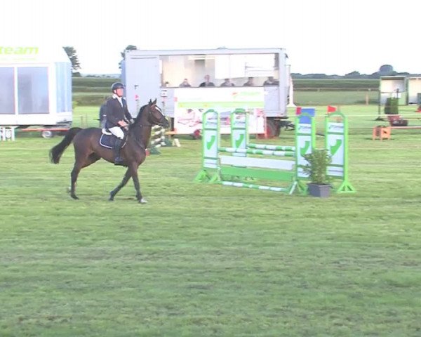 Reitturnier Behrendorf 2016