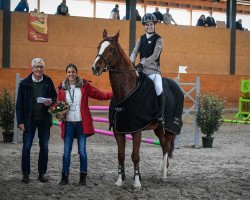 jumper Beloperone (KWPN (Royal Dutch Sporthorse), 2006, from Lacco Ameno)