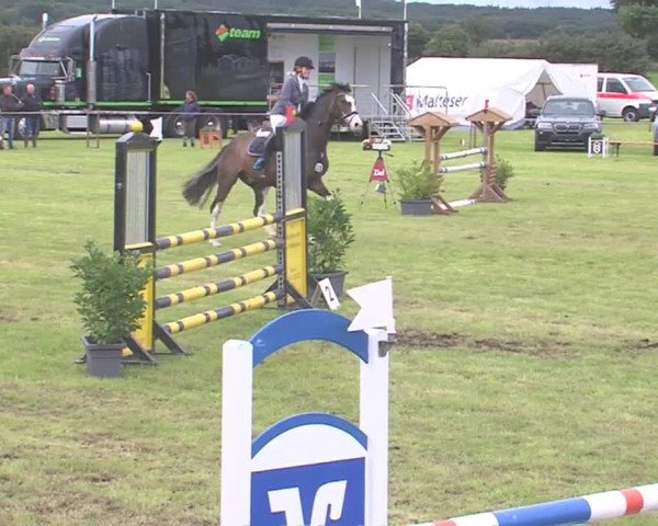 Reitturnier Behrendorf 2016