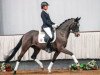 dressage horse Fine Cera M (Rhinelander, 2015, from Feedback 16)