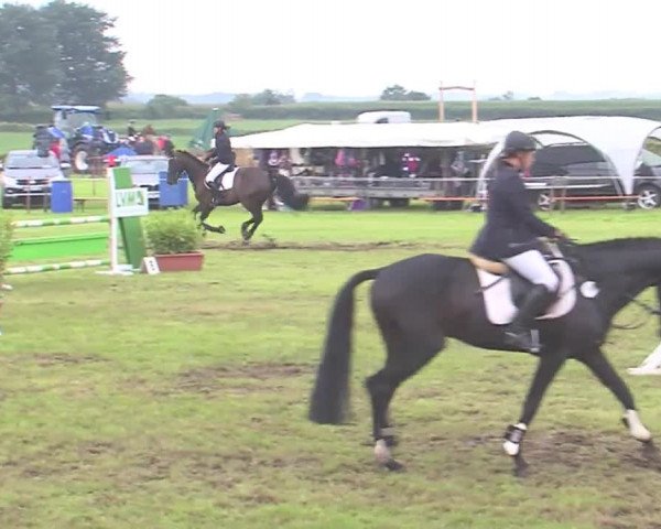 Reitturnier Behrendorf 2016
