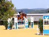 jumper Coco N (Oldenburg show jumper, 2013, from Chin Champ)