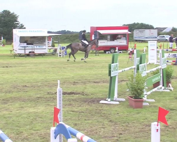 Reitturnier Behrendorf 2016