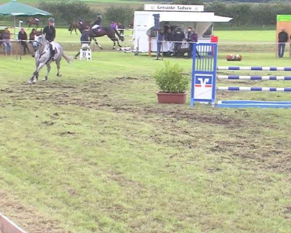 Reitturnier Behrendorf 2016