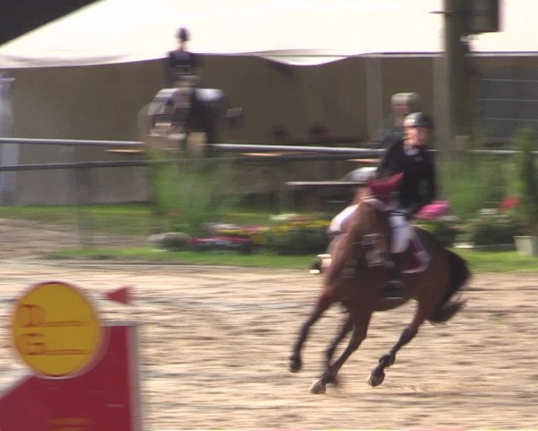 Reitturnier Neunkirchen-Salchendorf 2016