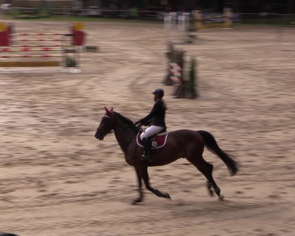 Reitturnier Neunkirchen-Salchendorf 2016