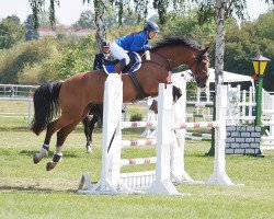 Springpferd Leo Lanzelott (Deutsches Sportpferd, 2008, von Lordanos)