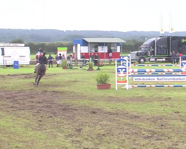 Reitturnier Behrendorf 2016