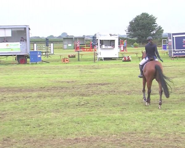 Reitturnier Behrendorf 2016