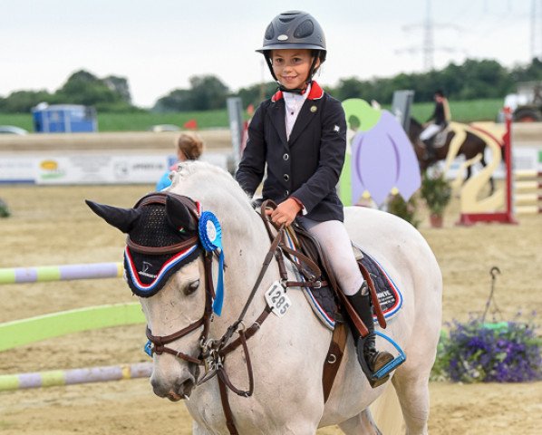 Springpferd Silver Sundance (Pony ohne Rassebezeichnung, 1999)