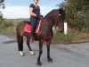 broodmare Miss Cora (German Riding Pony, 2005, from Schloß Altenhausen Hieronymus)