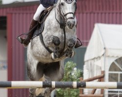 broodmare Caladetta (Zweibrücken, 2012, from Albführen's Caladetto)