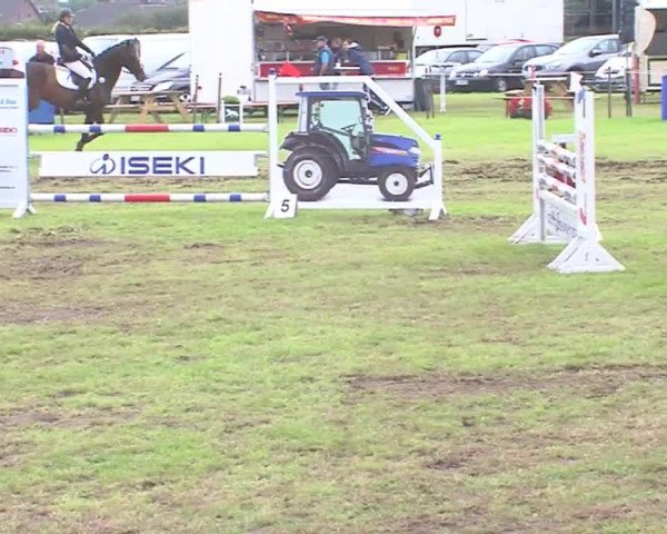 Reitturnier Behrendorf 2016
