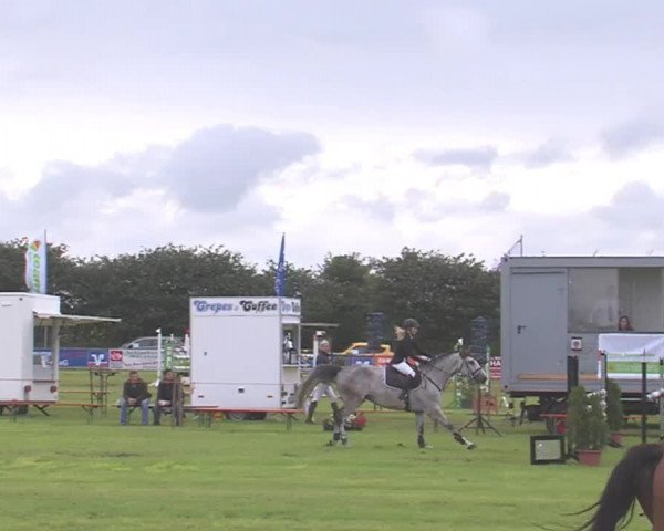 Reitturnier Behrendorf 2016