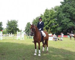 dressage horse Londonderry's Sweetheart (Hanoverian, 2009, from Londonderry)