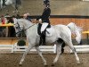 dressage horse Casper (Polish Warmblood, 2005, from Owad)