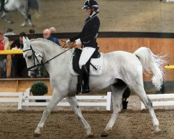 dressage horse Casper (Polish Warmblood, 2005, from Owad)