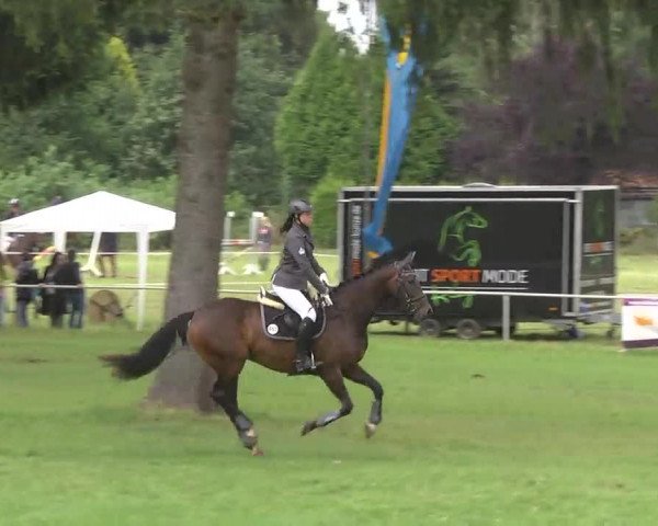 Reitturnier Memmingen 2016