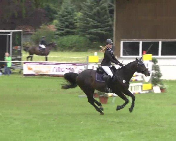 Reitturnier Memmingen 2016