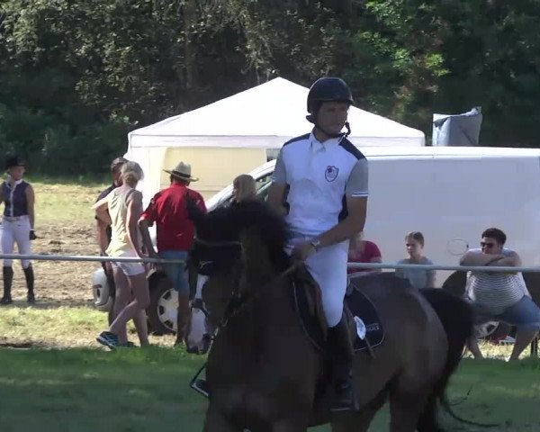 Reitturnier Memmingen 2016