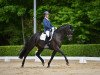 dressage horse Donnalittchen MG (Hanoverian, 2014, from Drombusch)