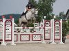 jumper Carmina 47 (German Sport Horse, 2011, from Colestus)