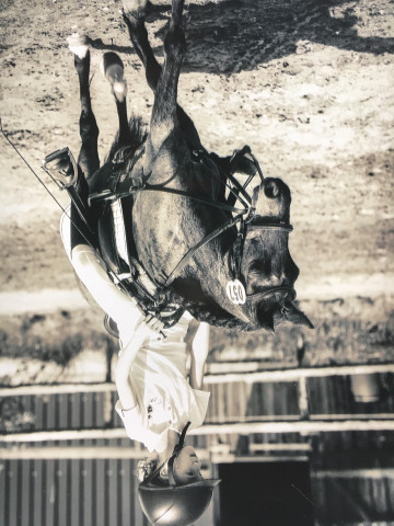 Dressurpferd Penny (Welsh Mountain Pony (Sek.A), 1999)