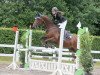 dressage horse Látido (Hanoverian, 2009, from Libertin)