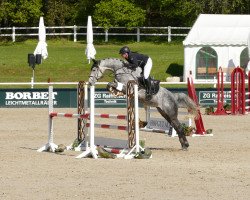 jumper Capri Sun 5 (German Sport Horse, 2015, from Cellestial)