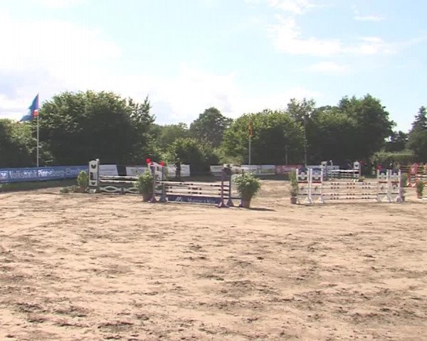 Reitturnier Tangstedt/Pinneberg 2016
