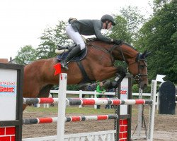 jumper Ela-Lu (KWPN (Royal Dutch Sporthorse), 2009, from Eldorado vd Zeshoek Tn)