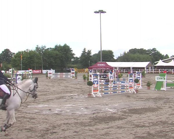 Reitturnier Tangstedt/Pinneberg 2016