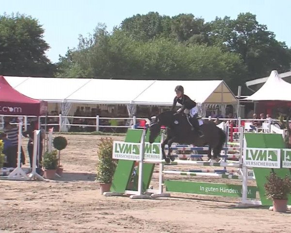 Reitturnier Tangstedt/Pinneberg 2016