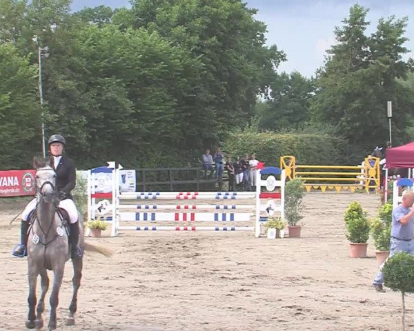 Reitturnier Tangstedt/Pinneberg 2016
