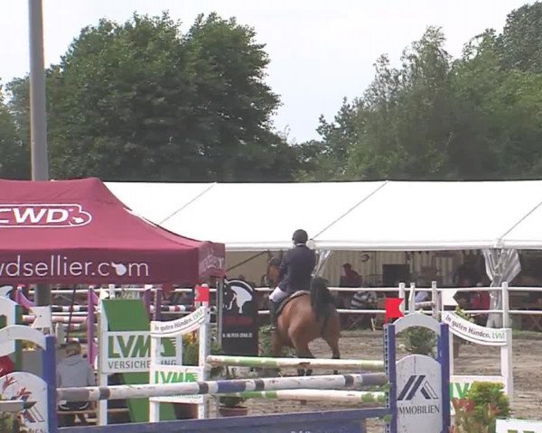 Reitturnier Tangstedt/Pinneberg 2016