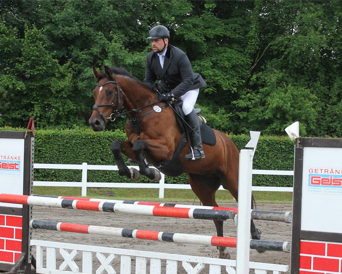 jumper Felix von Balboa (unknown, 2011)