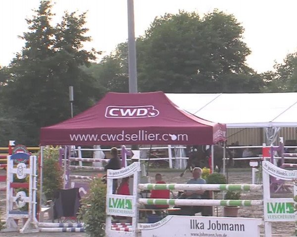 Reitturnier Tangstedt/Pinneberg 2016