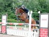 jumper Queenie Quirina (German Sport Horse, 2011, from Quiz)