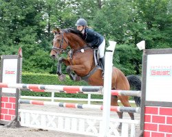 jumper Queenie Quirina (German Sport Horse, 2011, from Quiz)