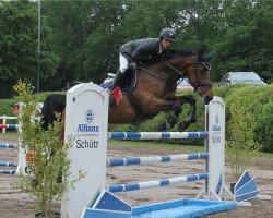 jumper Caramia 44 (Oldenburg show jumper, 2012, from Coupe d`Or)