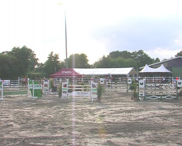 Reitturnier Tangstedt/Pinneberg 2016