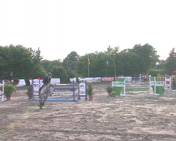 Reitturnier Tangstedt/Pinneberg 2016