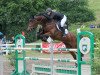 jumper Carthino 4 (Oldenburg show jumper, 2009, from Carthago)