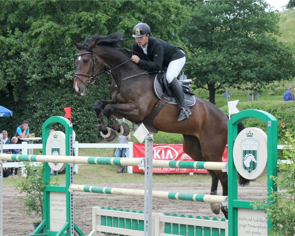 jumper For Question (Hanoverian, 2011, from For Edition)