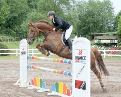 jumper Epson G (Oldenburg show jumper, 2007, from Epsom Gesmeray)